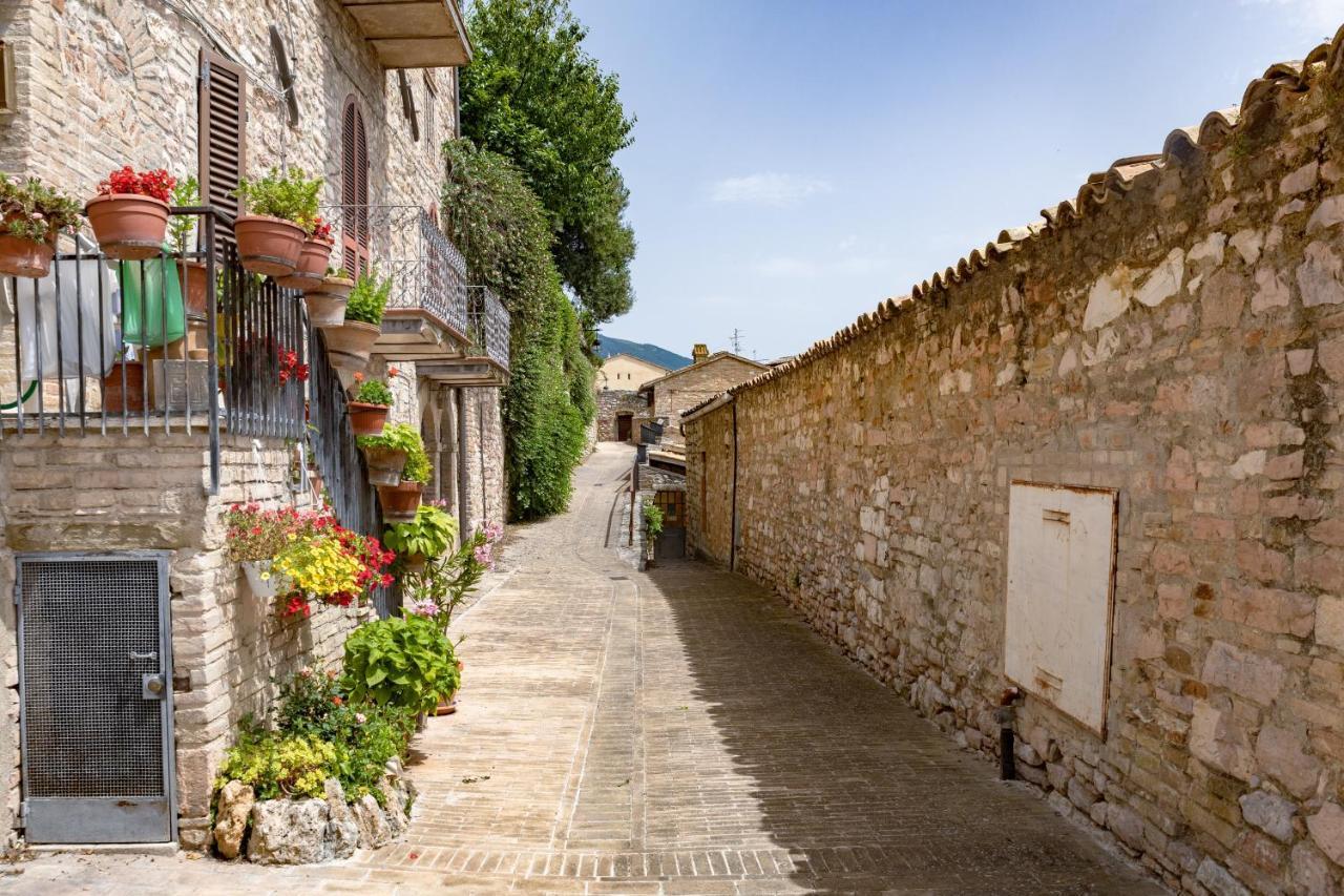 Willa Rustic House, Con Patio E Giardino, Assisi Centro Zewnętrze zdjęcie